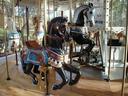 Lead horse "Pete" and inside row  horse "Sir Loin"